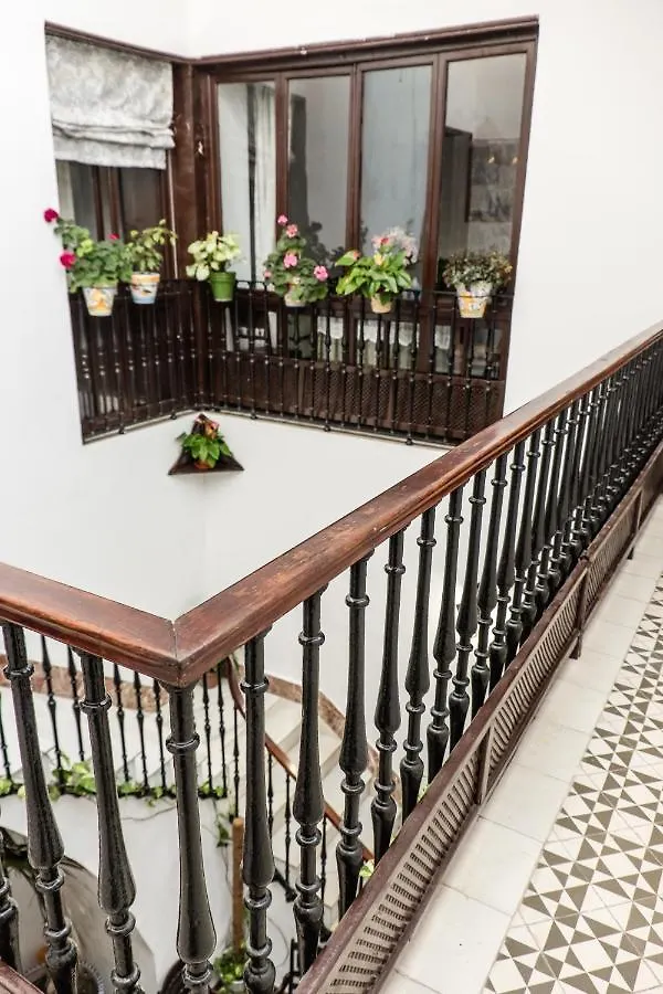 Guest house Casa Mesones. Rural Constantina-Sevilla